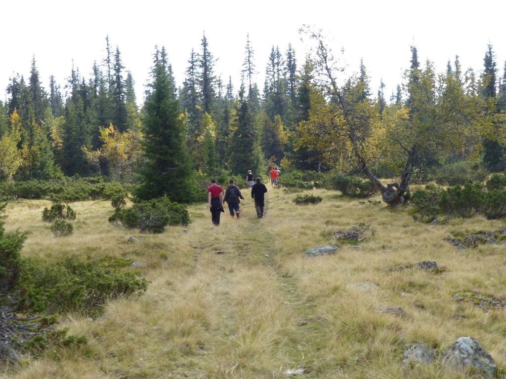 Hornsjo Fjellhotel Hafjell Ngoại thất bức ảnh
